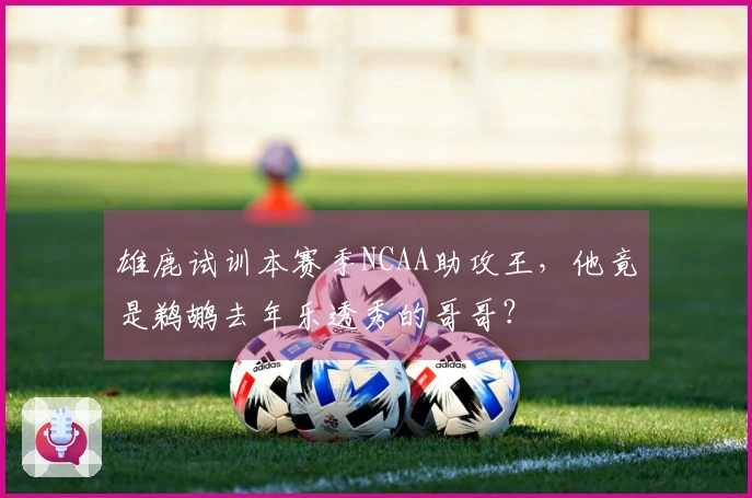 雄鹿试训本赛季NCAA助攻王,他竟是鹈鹕去年乐透秀的哥哥?